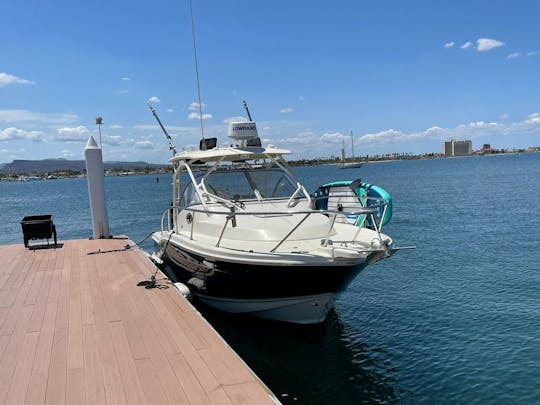 Expérience exclusive avec notre Scout 280 Sportfish à La Paz, en Colombie-Britannique