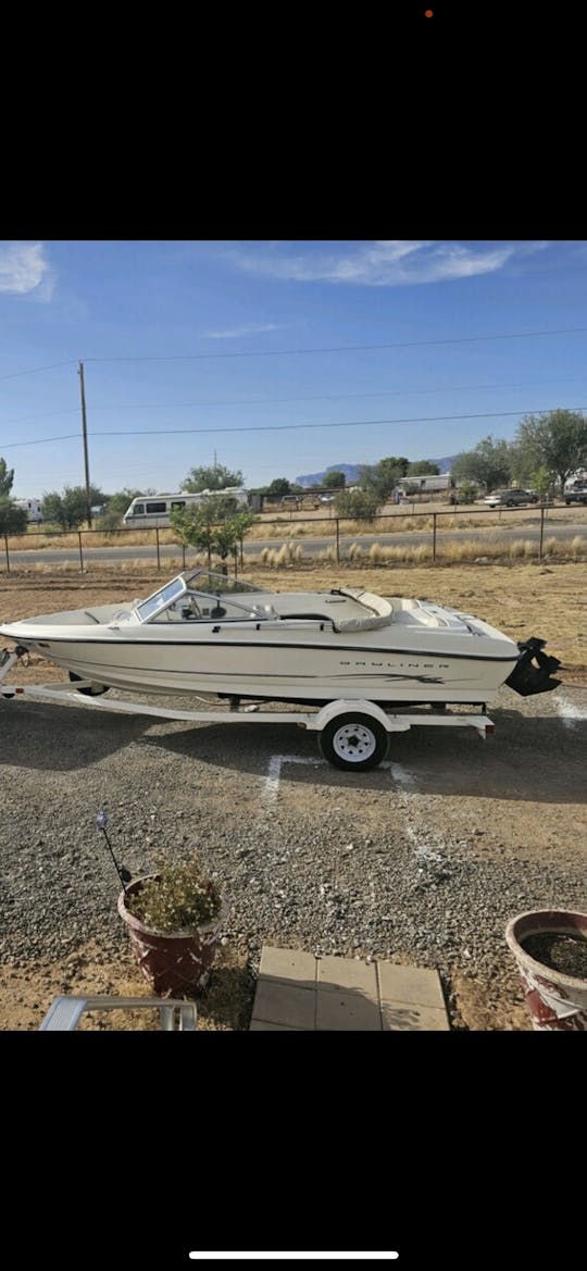 Adequado para famílias - Barco Bayliner Bowrider 175