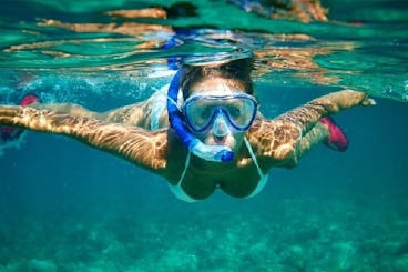 カボサンルーカスでの4時間のシュノーケリング体験