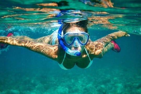 Experiencia de esnórquel de 4 horas en Cabo San Lucas