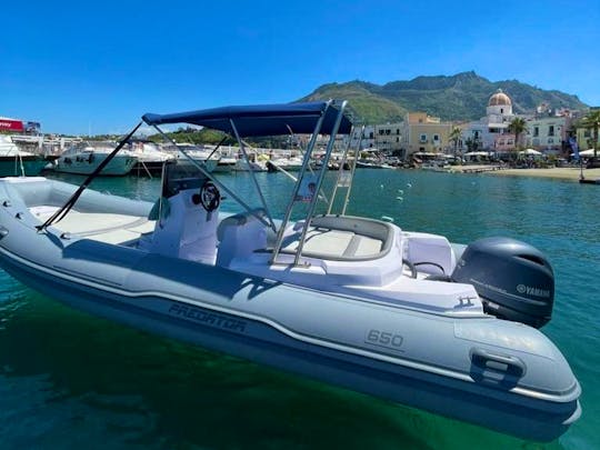 Rigid Inflatable Boat Predator 6.5m 21.5ft for rent in Forio, Ischia