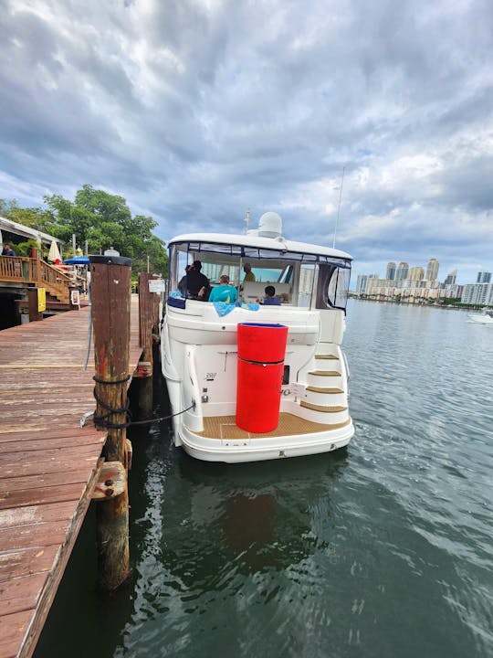 Yacht Sea Ray de 43 pieds à Miami/Fort Lauderdale