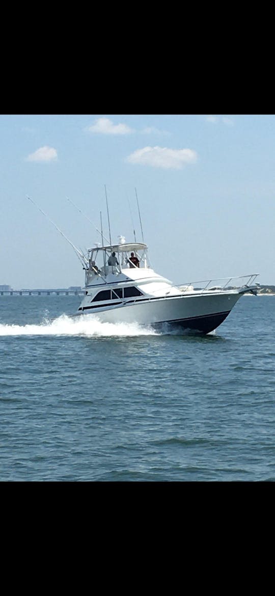 Fisherman’s Dream: 38ft Dawson Sportfish in Norfolk, VA! 