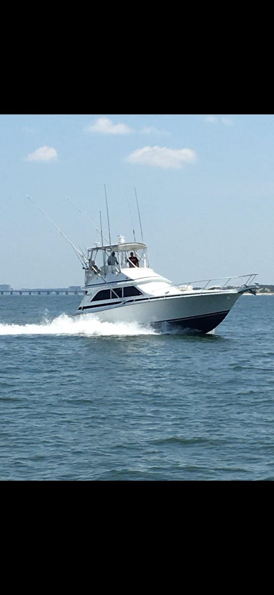 Le rêve d'un pêcheur : Dawson Sportfish de 38 pieds à Norfolk, en Virginie ! 