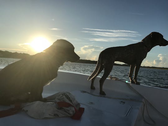 Descubra as joias escondidas da Ilha Topsail com itinerário privado