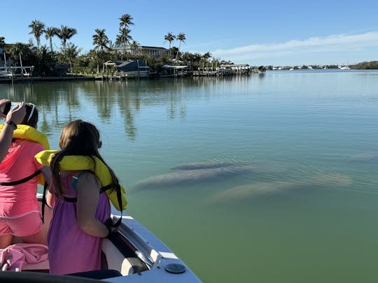 Location d'un bateau avec capitaine de Cape Coral à destination de Cabbage Key, excursion avec les dauphins, North Captiva 