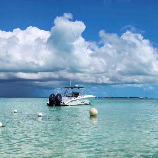 Come with us and live an incredible adventure in the Bahamian waters