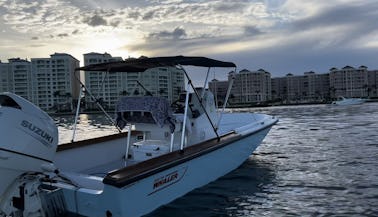 Best Deal: Boston Whaler Experience