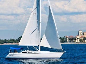 カタリナ42セーリングヨットに乗ってプエルトバジャルタでセーリングするのはユニークです！