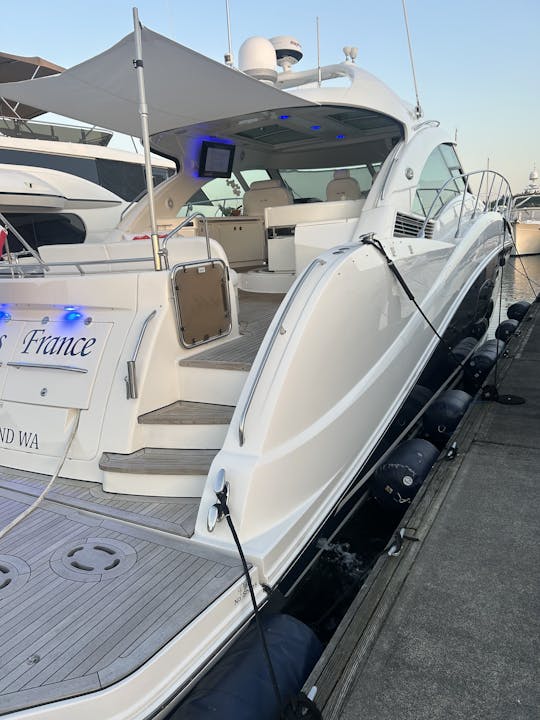 Capitão Charter no elegante Sea Ray Hardtop Sundancer de 60 pés em Lake Washington
