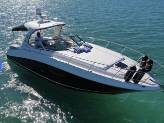 South Beach Sea Ray Sundancer 37' perfectly maintained and operated by best crew