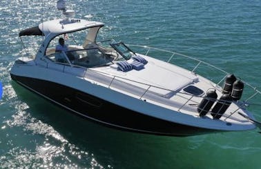 South Beach Sea Ray Sundancer 37' perfectly maintained and operated by best crew