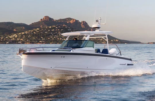 Private Motor Boat Excursion - 8 persons - Axopar 29 ft with captain