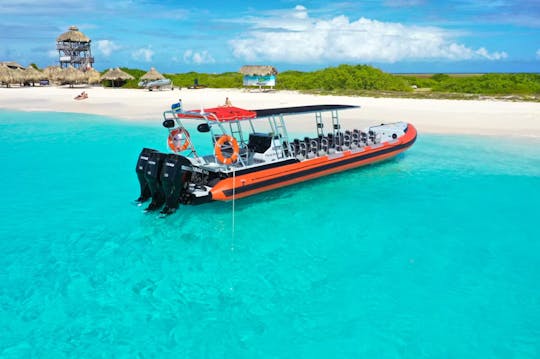 Adrenaline experience! Charter 40ft Powerboat RIB in Curaçao (max. 18 pax)