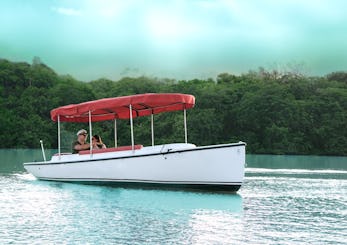 Eco-Friendly Electric Boats for Rent in Marina Nuevo Vallarta