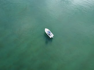  Recorrido en barco por Setúbal, Tróia y Arrábida para hasta 8 personas