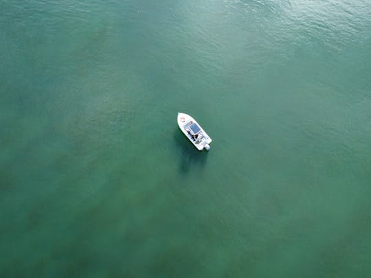  Passeio de Barco Setúbal, Tróia e Arrábida até 8 pessoas