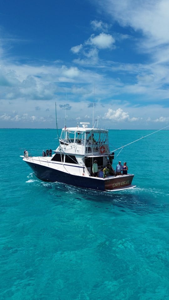 Vivez l'aventure de pêche ultime à Cancún !