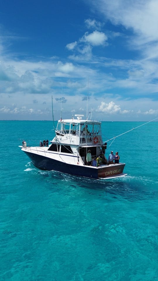 Catch the Ultimate Fishing Adventure in Cancun!