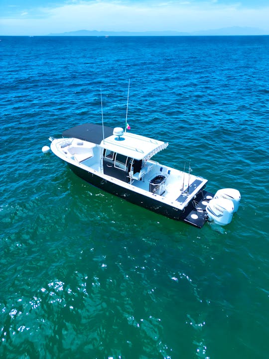 Luxury Experience with a 33ft Tender  Boat | Nuevo Vallarta (Includes food)