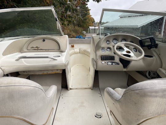 19’ Classic ski boat - day cruiser 225hp