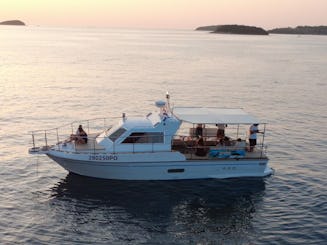 Dolphin Watching Adventure - 2 Hours