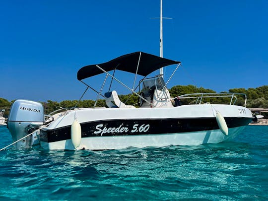 Perfect daily escape with Speeder 5.60
