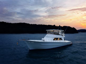 Haddock - Bertam 55ft Luxury sportfisher in Phuket