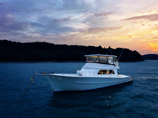 Haddock - Bertam 55ft Luxury sportfisher in Phuket