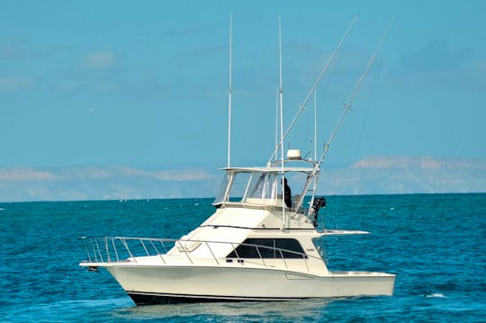 Ultimate Fishing Experience Cabo San Lucas on our Cabo 35 Flybridge Sport Fisher