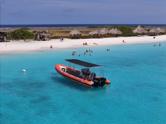 ¡Experiencia de adrenalina! Alquile un RIB a motor de 600 CV en Curazao (máx. 12 personas)