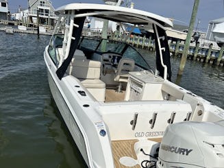 Meilleure aventure sur Fire Island : le magnifique baleinier de Boston  