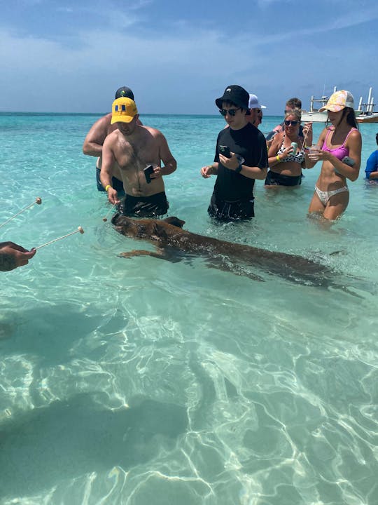 Excursión a las 4 islas de Rose Island, nada con cerdos, tortugas y esnórquel en los arrecifes de coral 