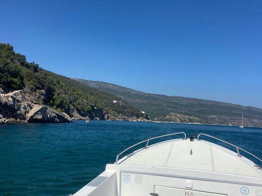 Tour por Río Sado para hasta 12 personas