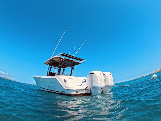 Frete privado Robalo de 30 pés no console central para até 6 passageiros