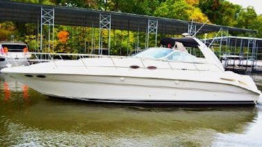 "Planecrazy" 41ft Sea Ray Yacht Charter in LOTO, MO