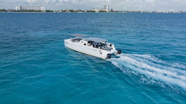 46ft Power Catamaran Private Charter for up to 45 People in Cancún 