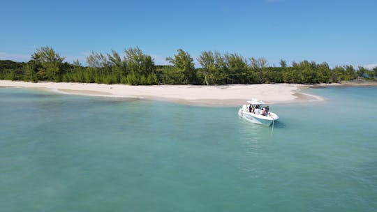 Consola central de 33 pies: mira y mar: ¡reserva el barco de tus sueños en las Bahamas!