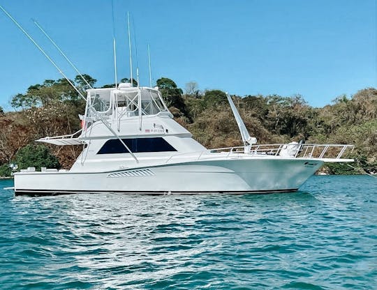 Viking 47 Located in Jaco/Herradura Area