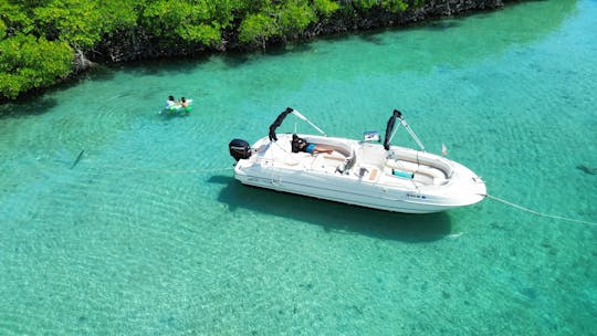 Discover the Island's, South Paradise aboard our Pontoon Catamaran 27ft !!