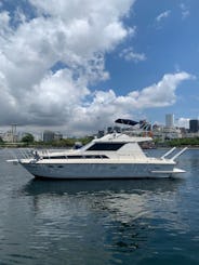 Bateau à moteur Oceanic de 32 pieds pour 13 personnes à Rio de Janeiro