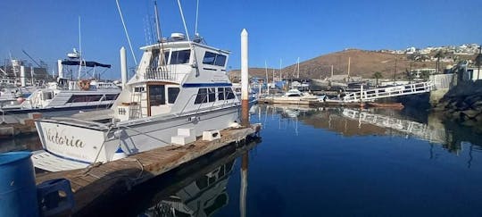 38ft Sport fishing Boat for 8 people in Baja California!