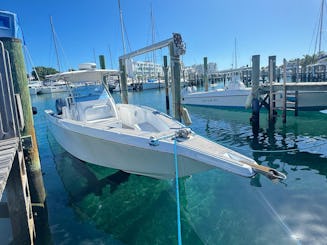 Alquiler privado: ¡Día de buceo, cerdos, tortugas y playa en Nassau, Bahamas!