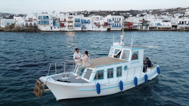 Croisière privée sur la côte sud de Mykonos, l'île de Rhenia ou les grottes de Tragonisi