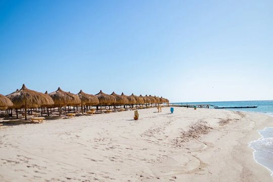 Viagem particular de lancha à Ilha Hula Hula com transferência - Hurghada