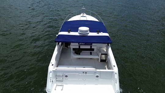 Rent this beautiful 40ft Sea Ray Sundancer Motor Yacht