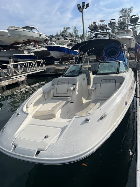 Amusez-vous sous le soleil ! Bateau d'une journée Searay Sundeck de 28 minutes