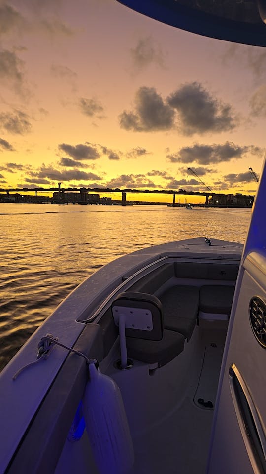 2024 SEA PRO 239DX pronto para a diversão de verão 