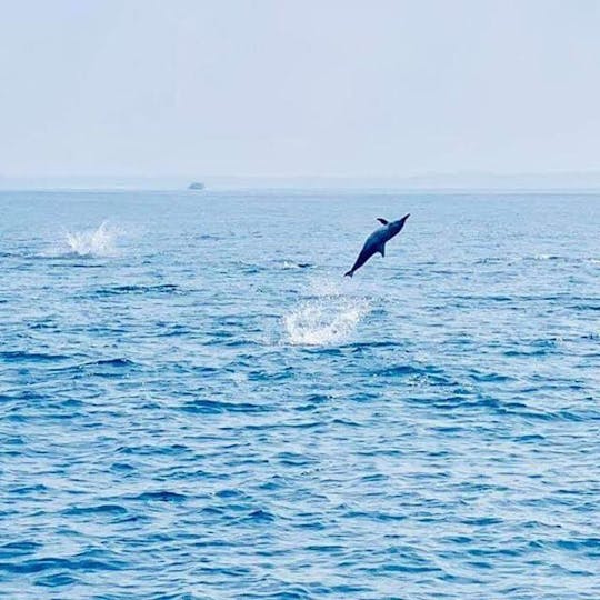 Dolphin Watching in Trincomalee