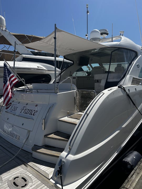 Capitão Charter no elegante Sea Ray Hardtop Sundancer de 60 pés em Lake Washington